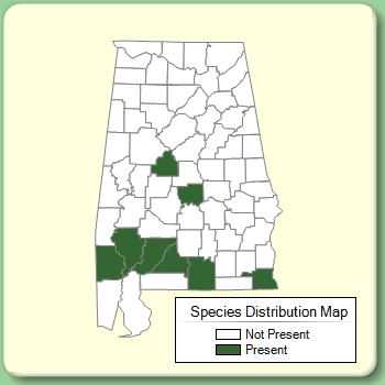 Species Distribution Map