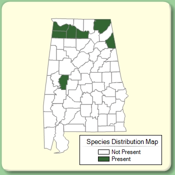 Species Distribution Map