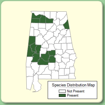 Species Distribution Map