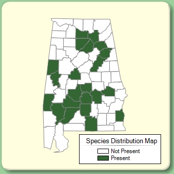 Species Distribution Map