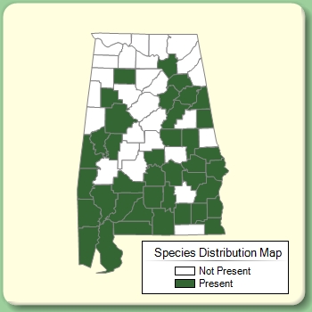 Species Distribution Map