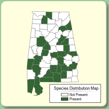 Species Distribution Map