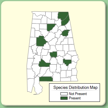 Species Distribution Map