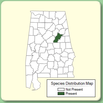 Species Distribution Map