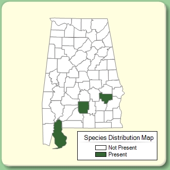 Species Distribution Map