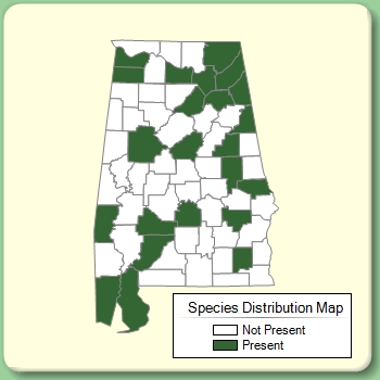 Species Distribution Map