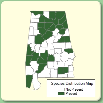 Species Distribution Map