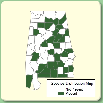 Species Distribution Map