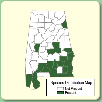 Species Distribution Map