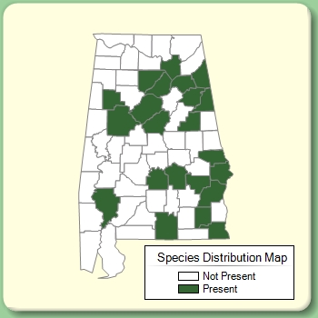 Species Distribution Map