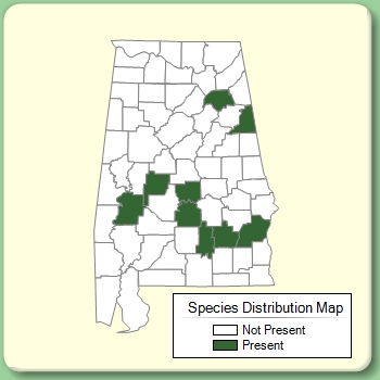 Species Distribution Map