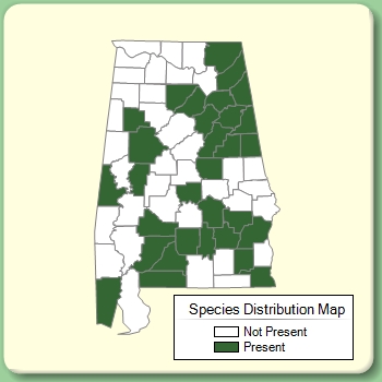 Species Distribution Map