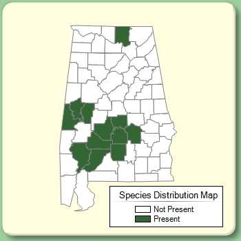 Species Distribution Map