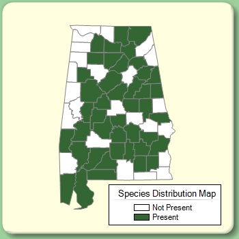 Species Distribution Map