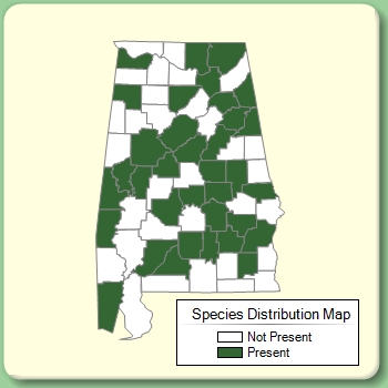 Species Distribution Map