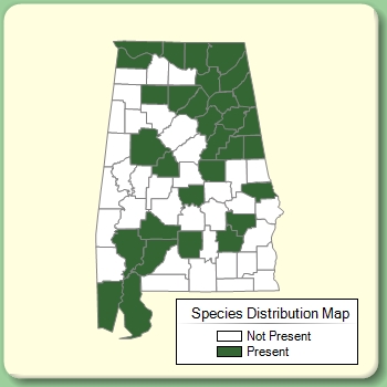 Species Distribution Map