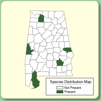 Species Distribution Map