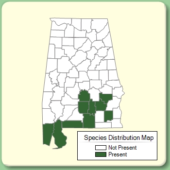 Species Distribution Map