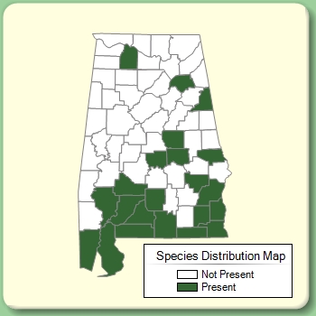 Species Distribution Map