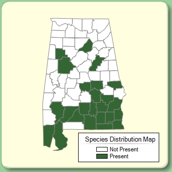 Species Distribution Map