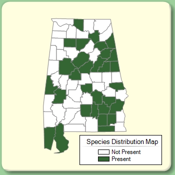 Species Distribution Map