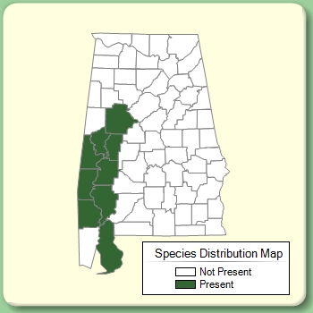 Species Distribution Map