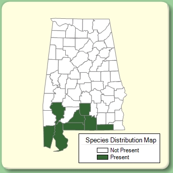 Species Distribution Map