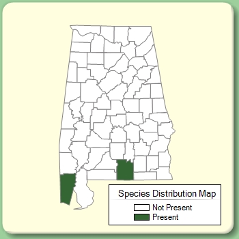 Species Distribution Map