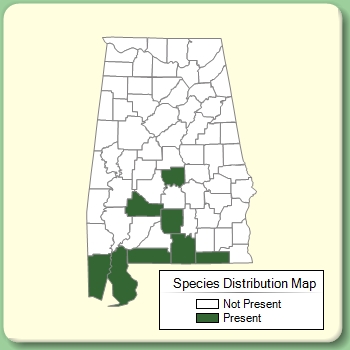 Species Distribution Map