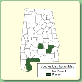 Species Distribution Map