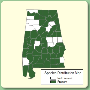 Species Distribution Map