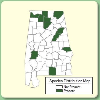 Species Distribution Map