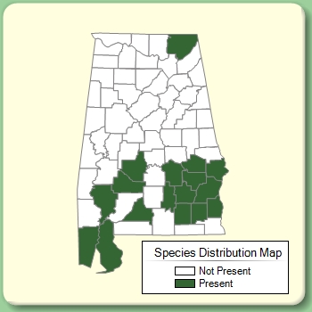 Species Distribution Map