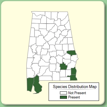 Species Distribution Map