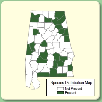 Species Distribution Map