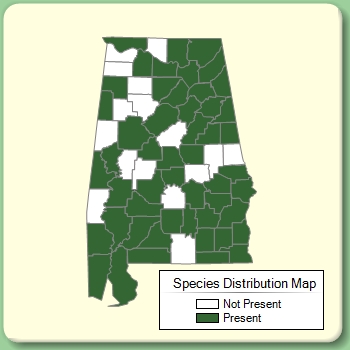 Species Distribution Map