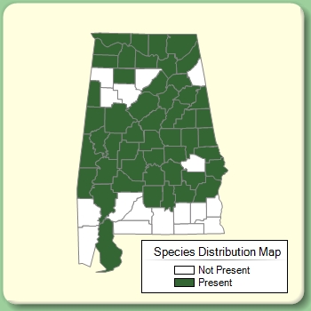 Species Distribution Map