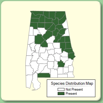 Species Distribution Map