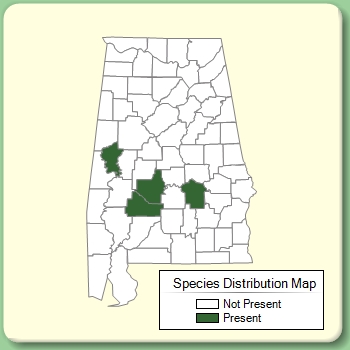 Species Distribution Map