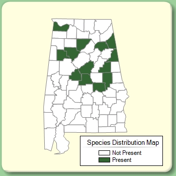 Species Distribution Map