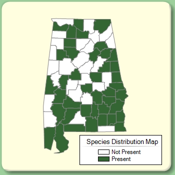 Species Distribution Map