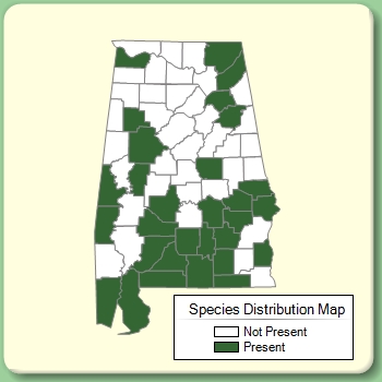 Species Distribution Map