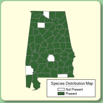 Species Distribution Map