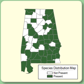 Species Distribution Map