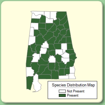 Species Distribution Map