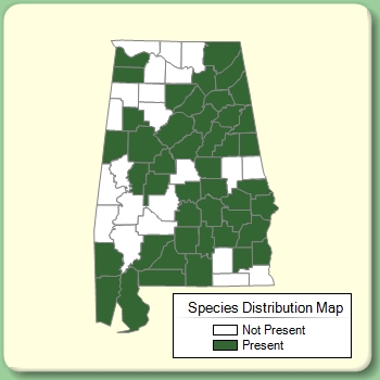 Species Distribution Map