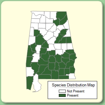 Species Distribution Map