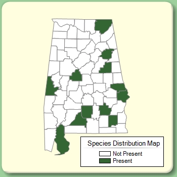 Species Distribution Map