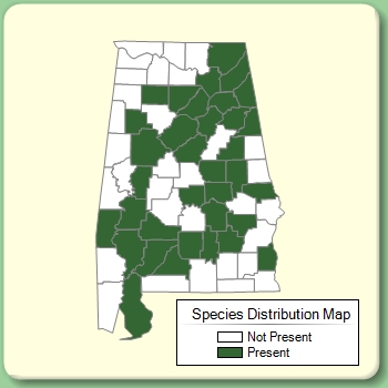 Species Distribution Map