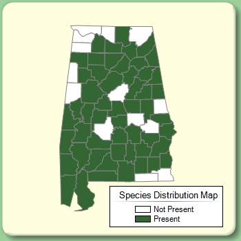 Species Distribution Map